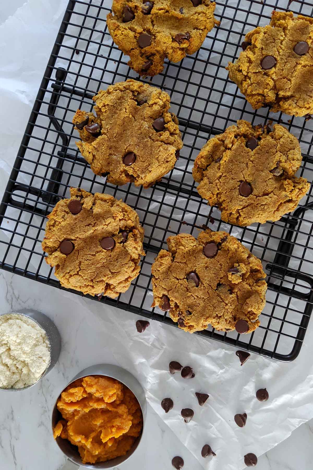 pumpkin cookies with chocolate chips.