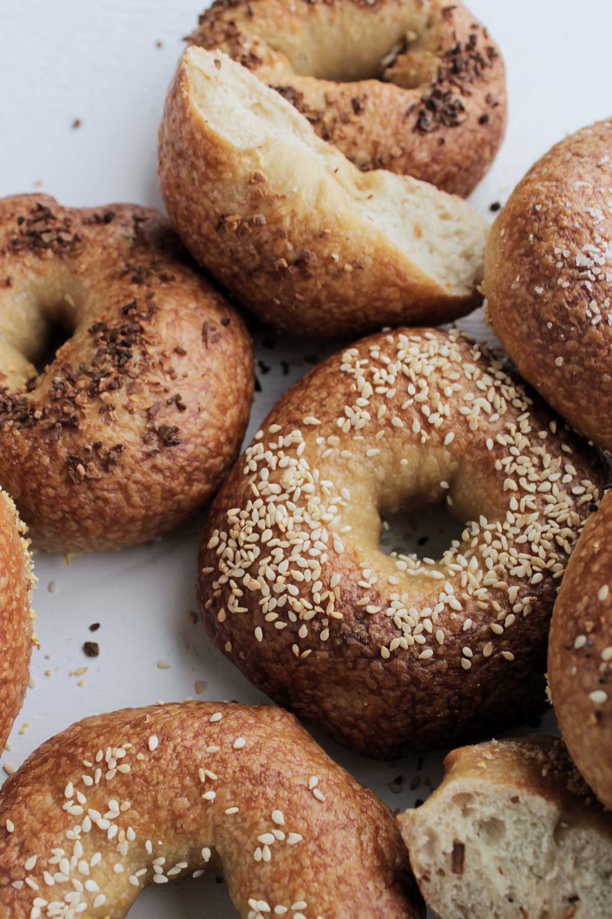 various flavors of bagels with seed toppings.