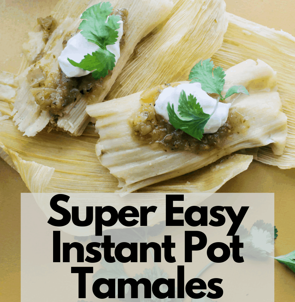 Instant Pot tamales recipes.