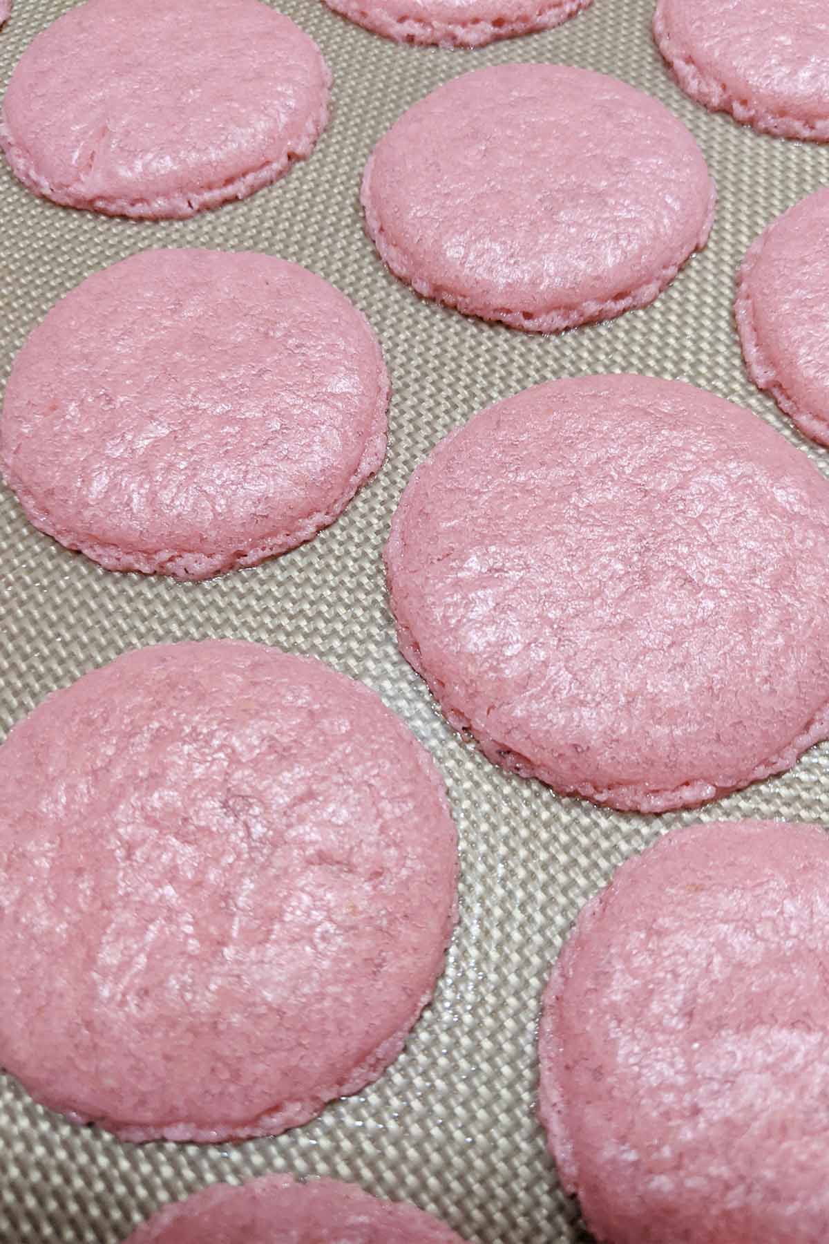 tray of flat and wrinkled macaron shells.