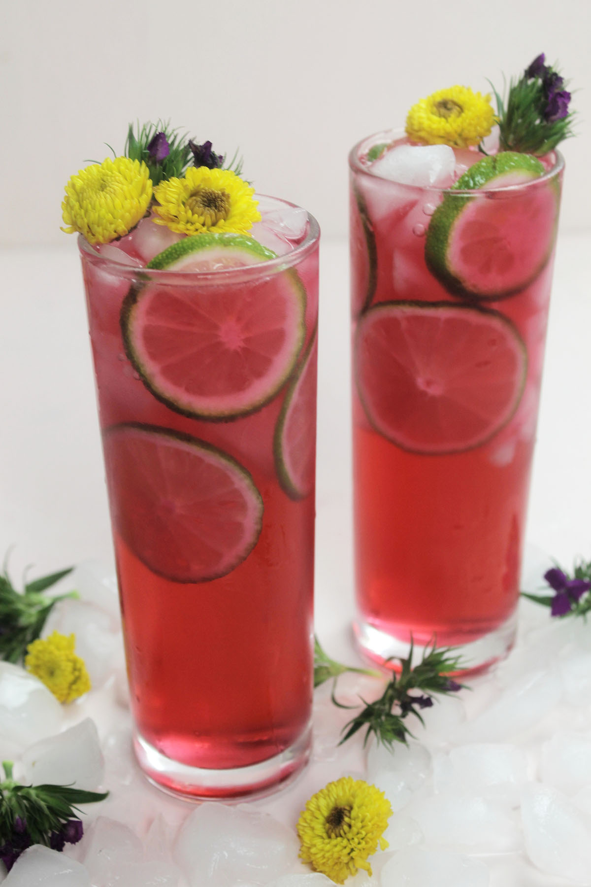 pink hibiscus cocktail with patron tequila.