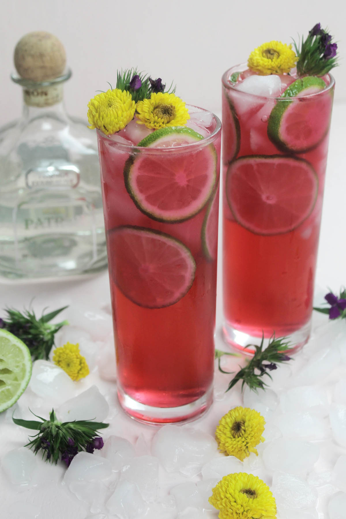 hibiscus tea cocktail with sprite and tequila.