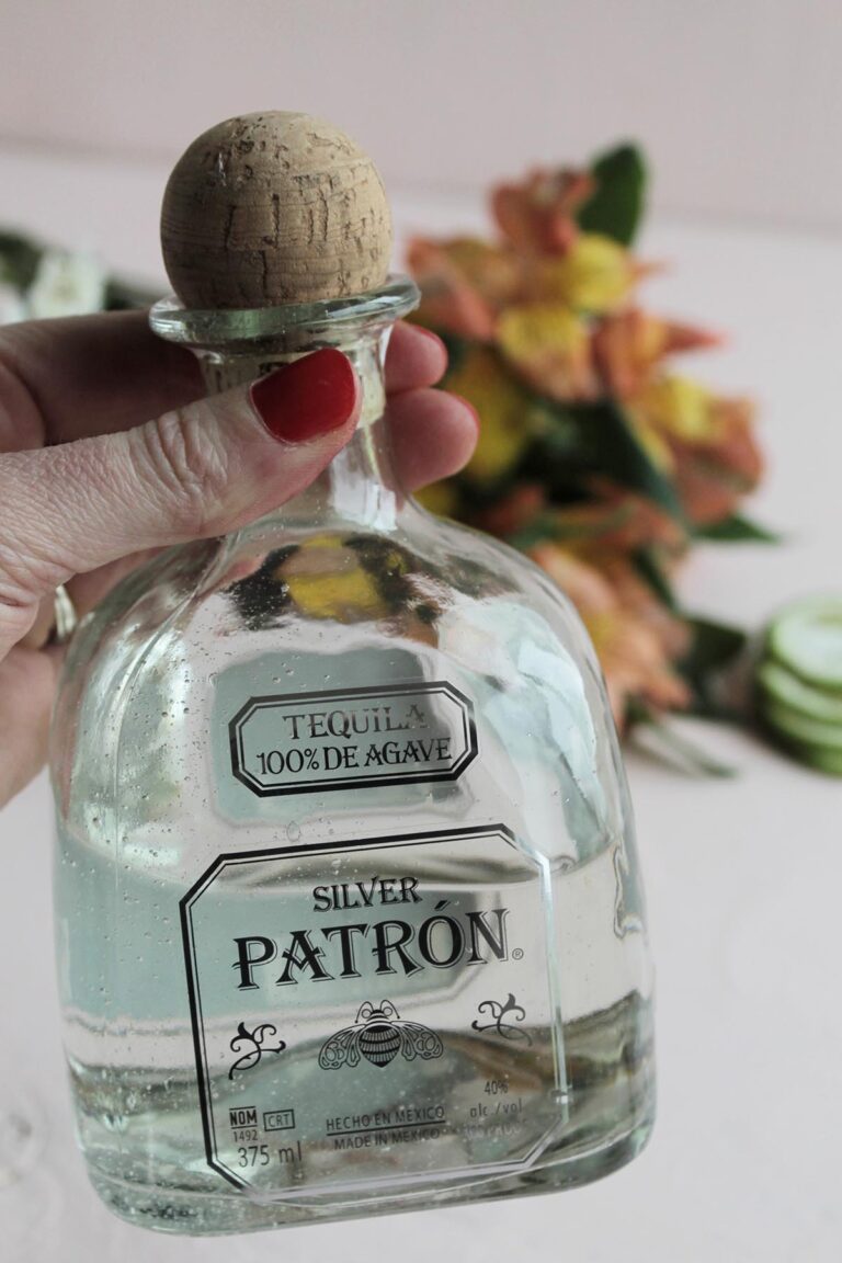 What To Mix With Patrón Tequila (35+ Cocktail Recipes & Mixer Ideas