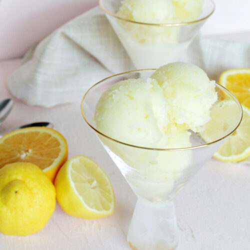lemon and orange sorbet in martini serving glass.