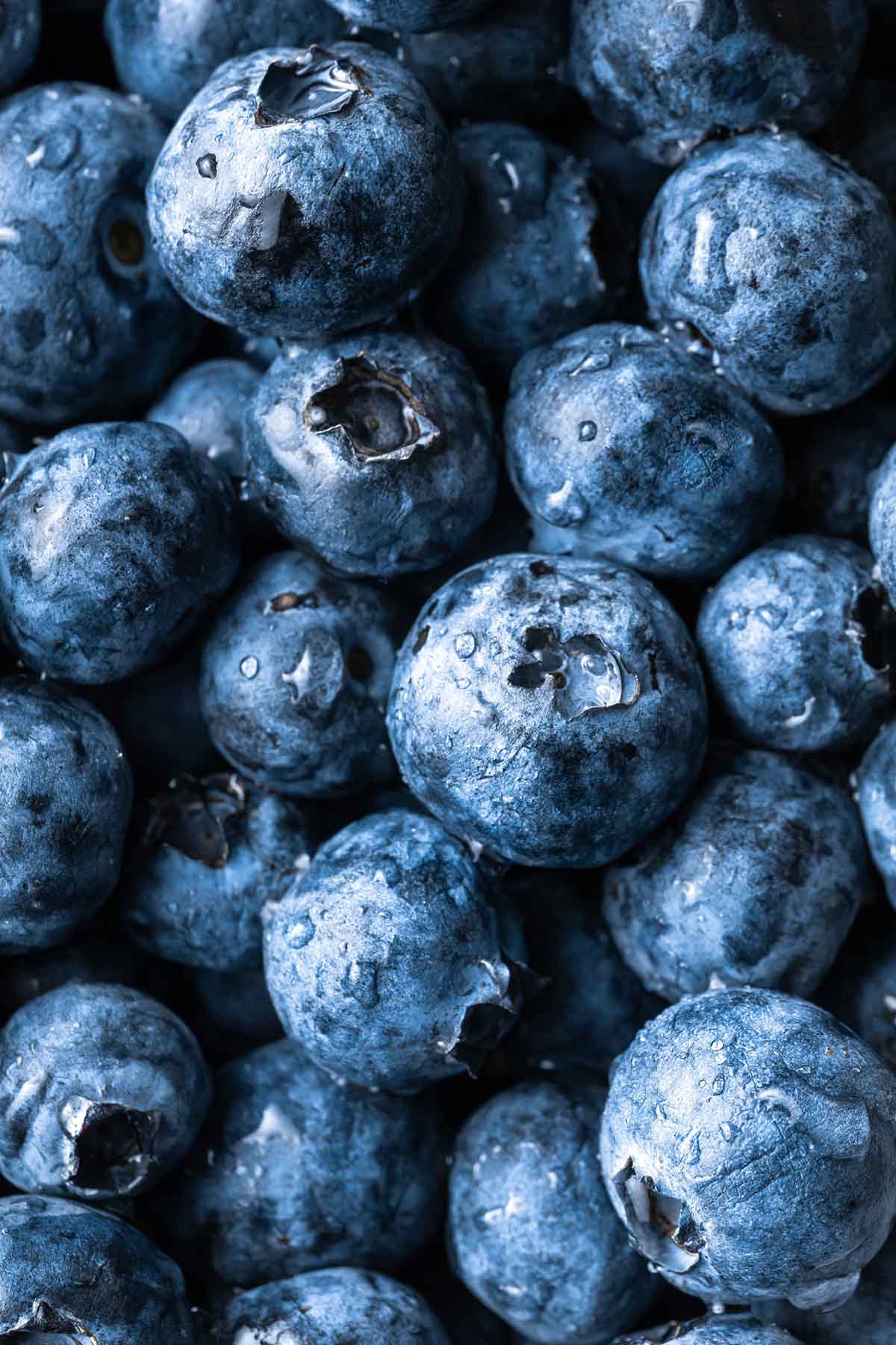 fresh blueberries with drops of dew.