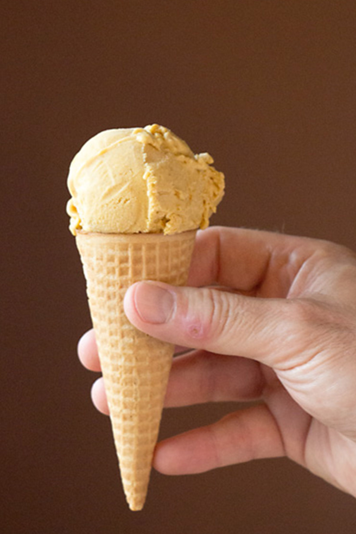 mini cone with a scoop of pumpkin ice cream.