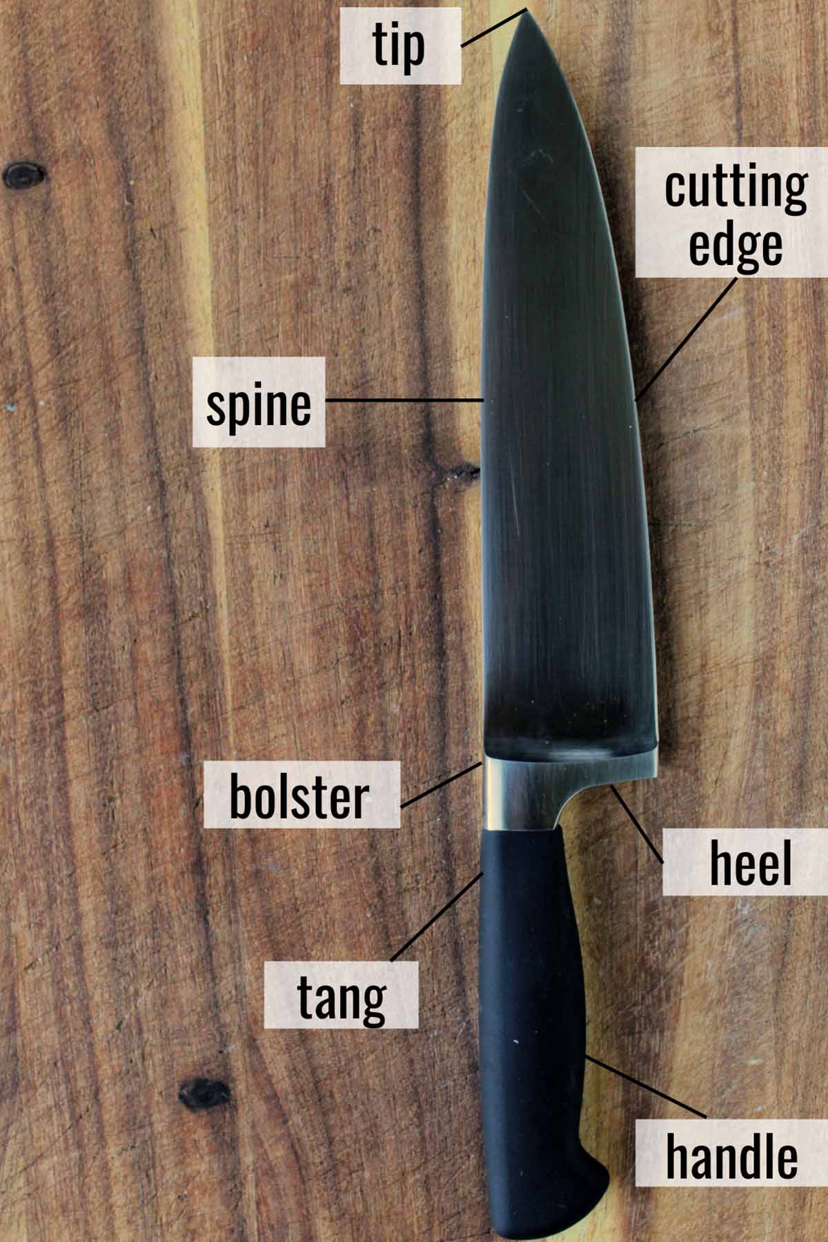 parts of a chef knife labeled.