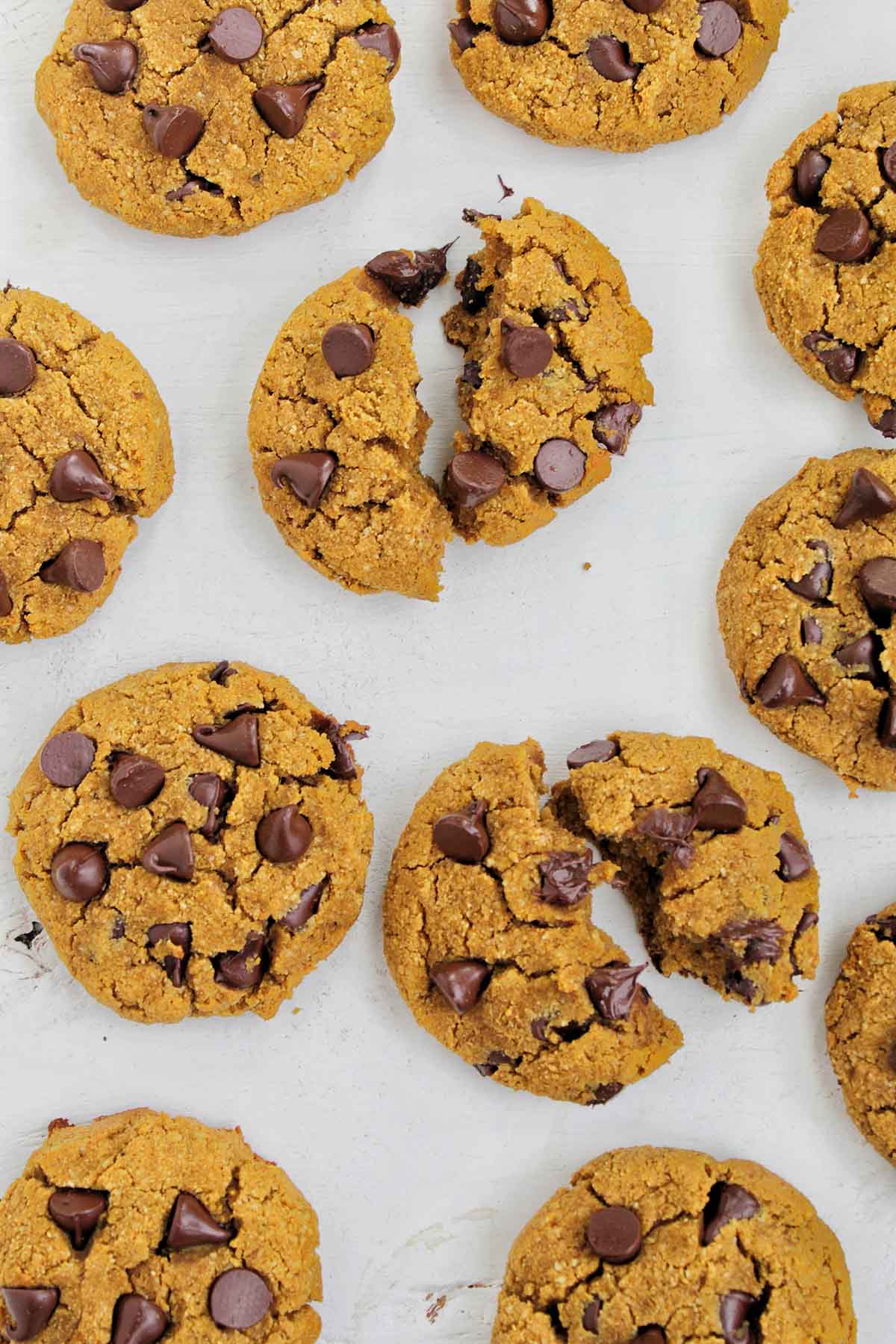 multiple pumpkin cookies topped with chocolate chips.