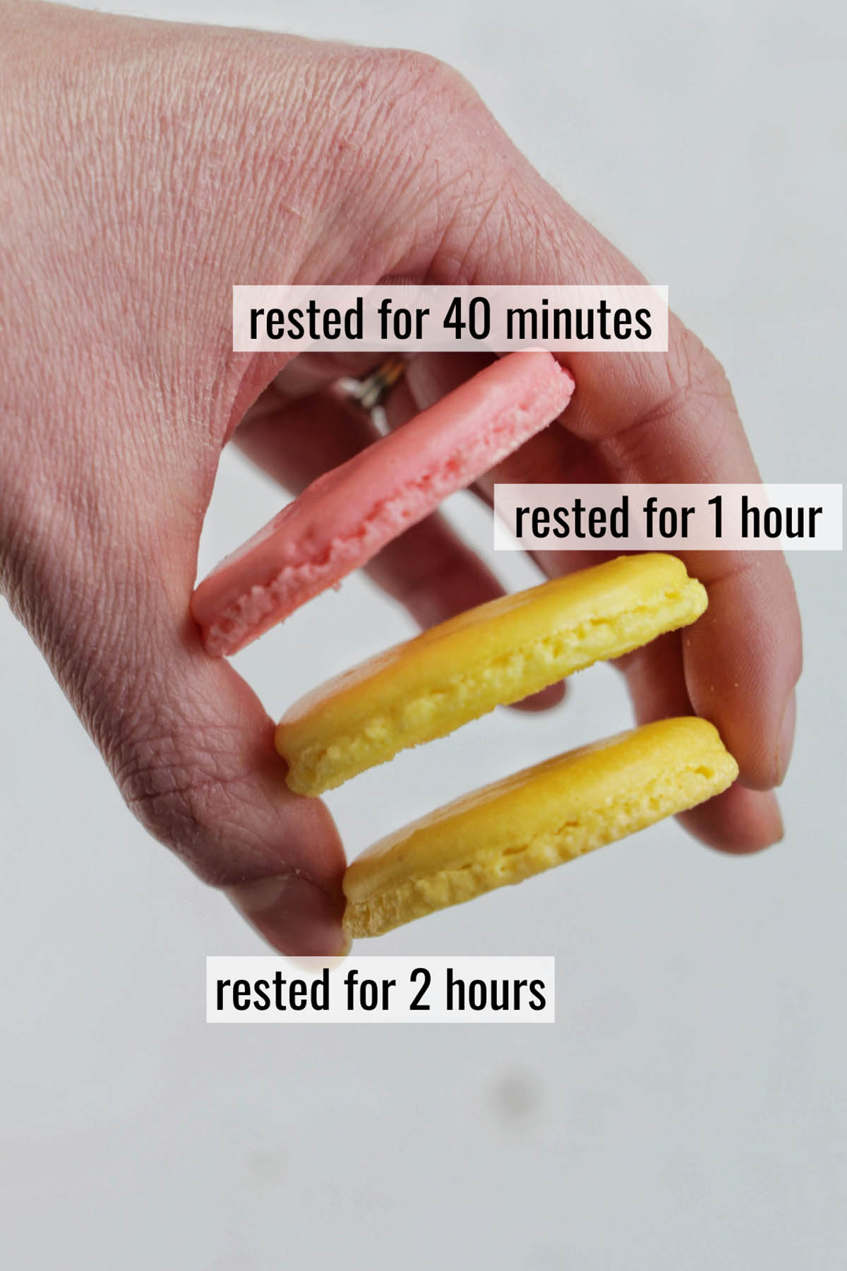 hand holding three macaron shells to show the difference of rest time on the shell.