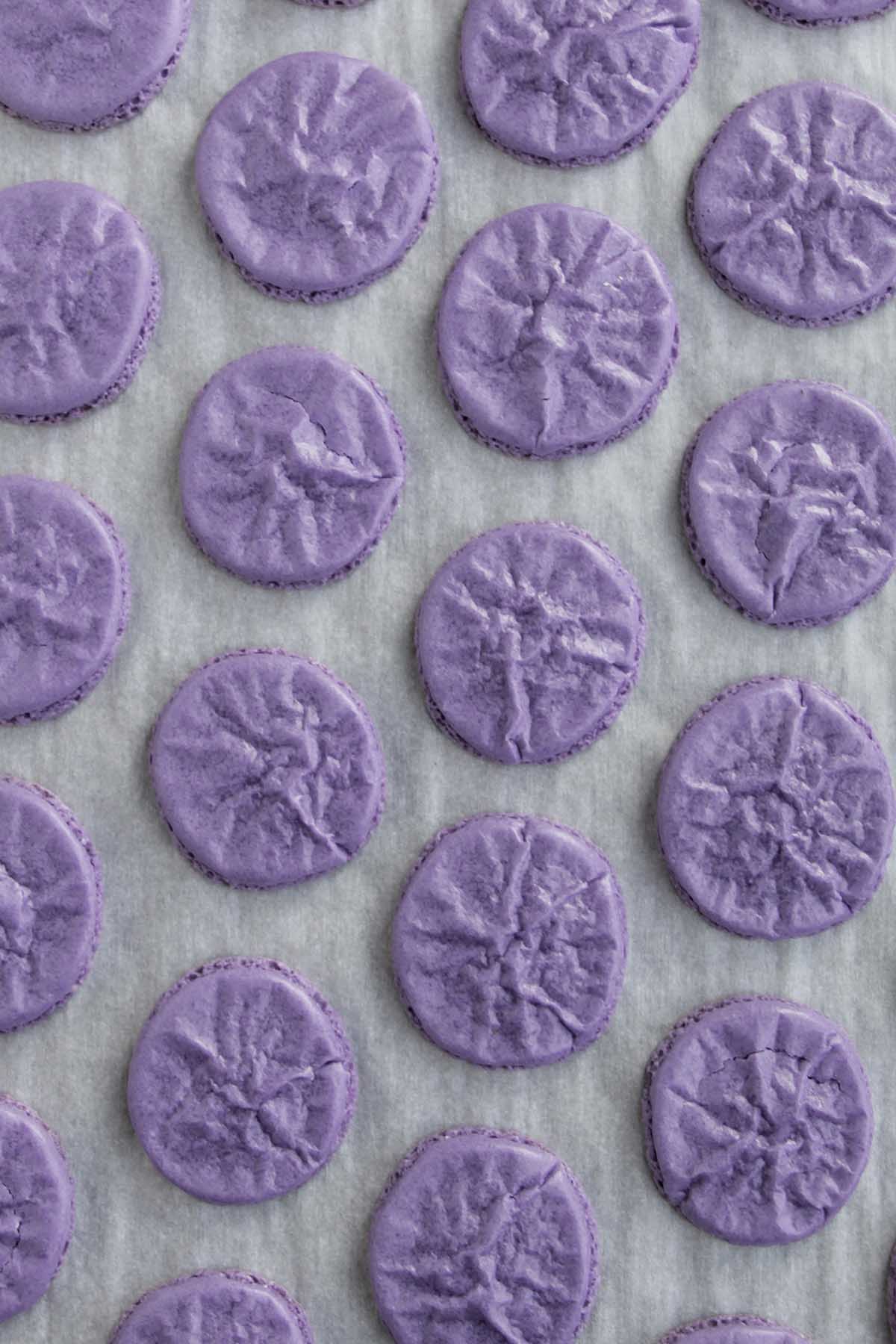 purple colored wrinkled macaron shells.