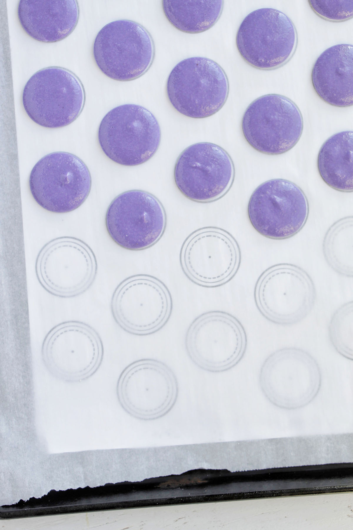 piped purple macaron shells on a macaron template.