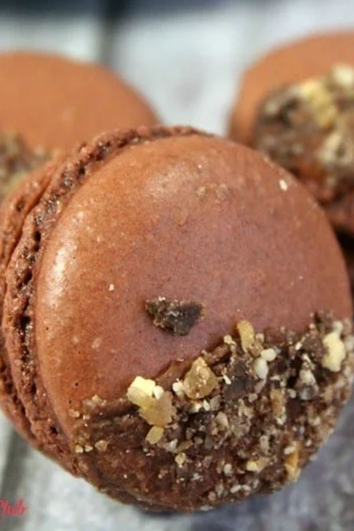 chocolate macarons topped with toffee candy.