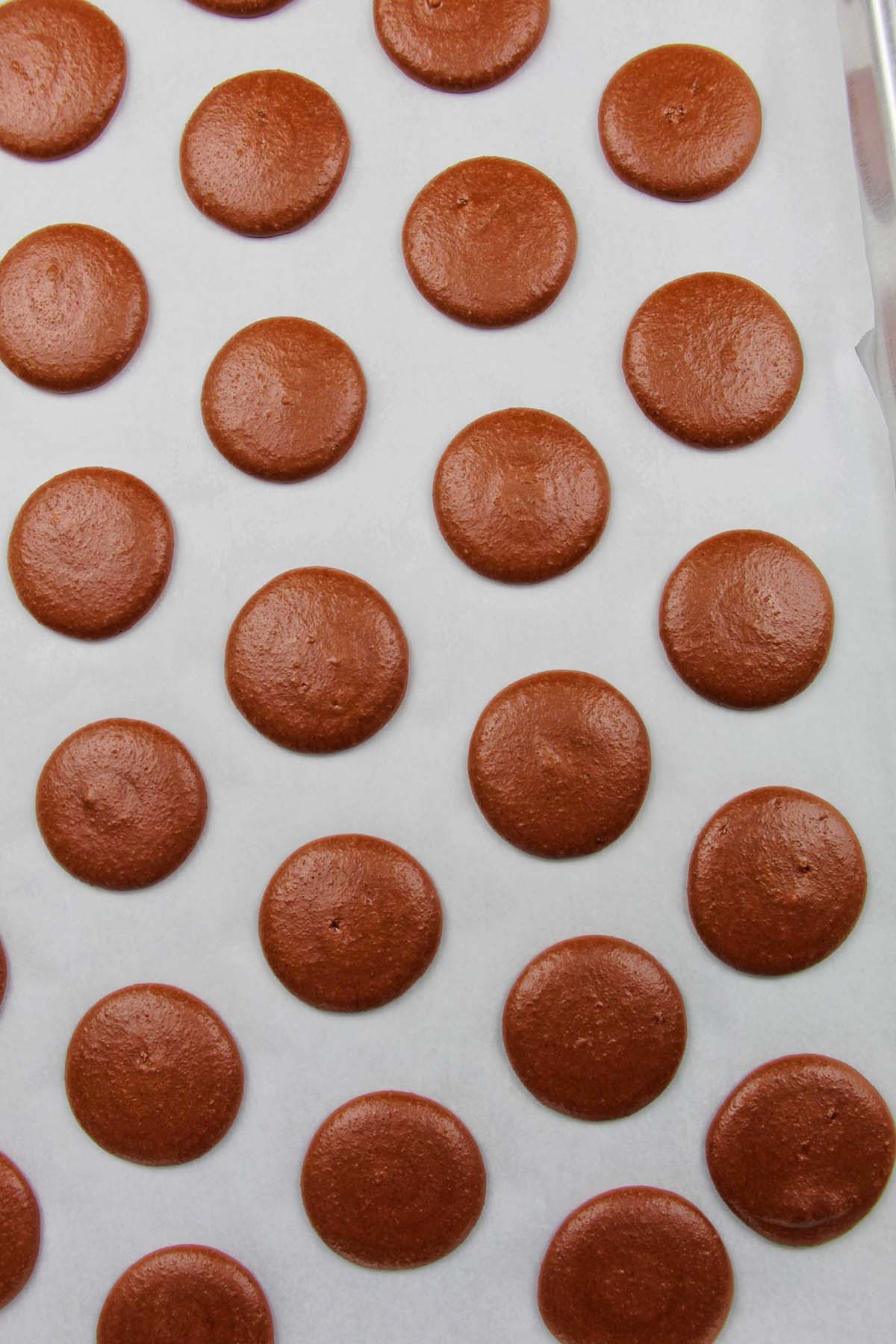 dried brown macaron shells on a parchment lined baking sheet.