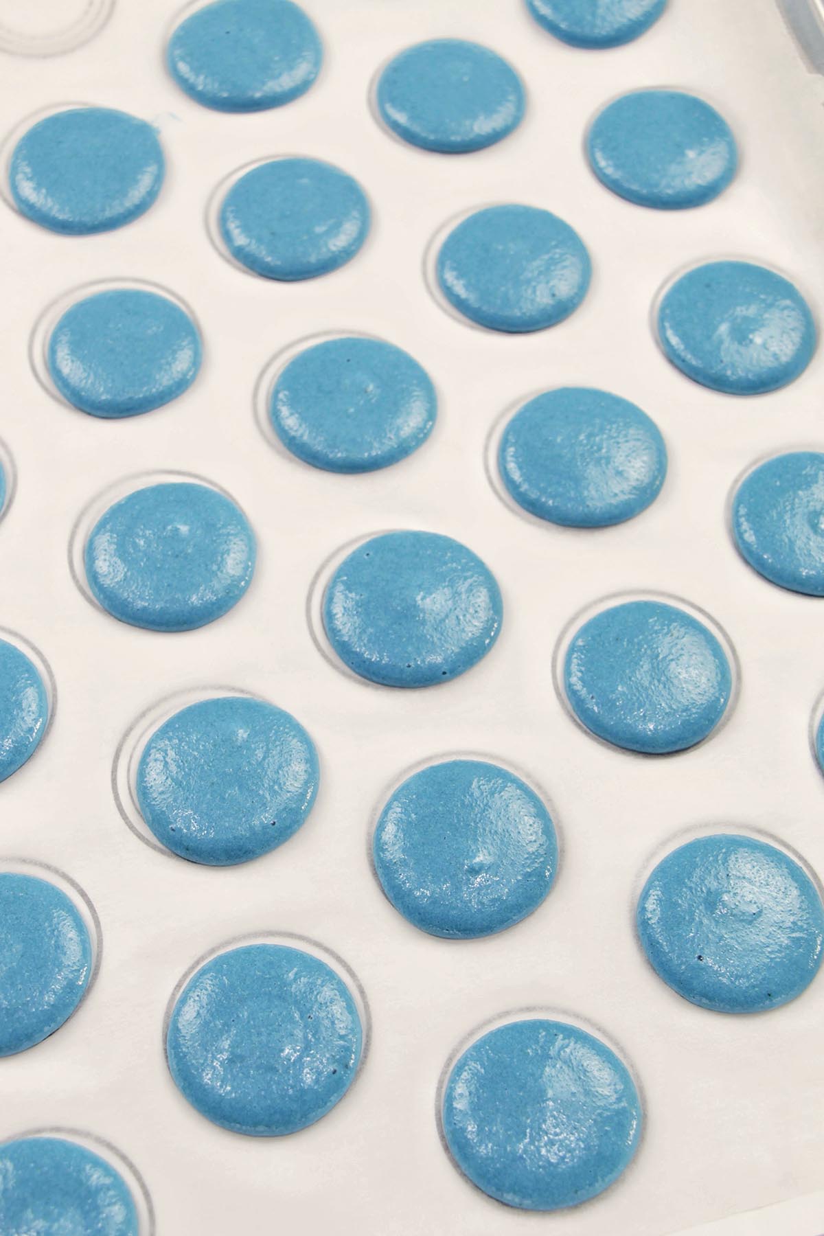 blue macarons piped onto a template.