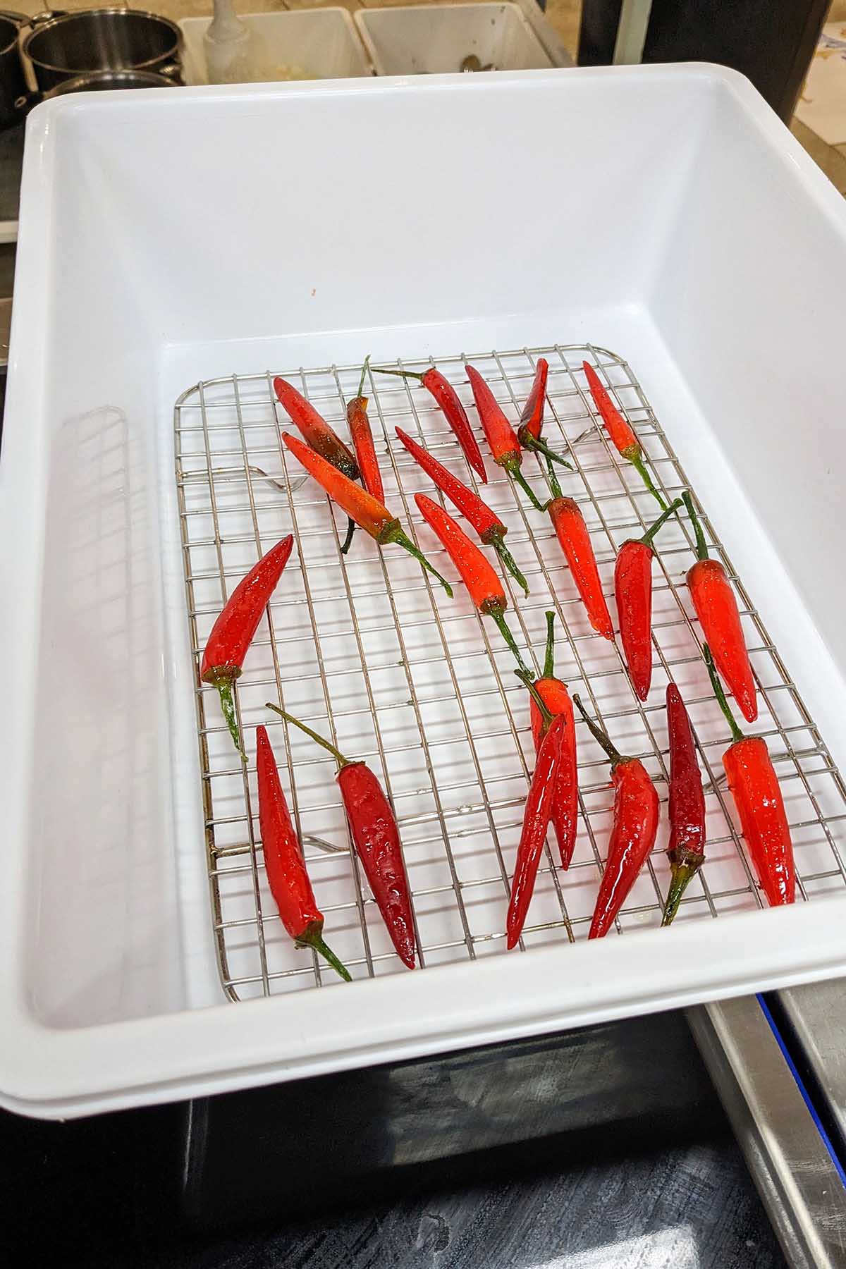 candied peppers laying on a drying rack.