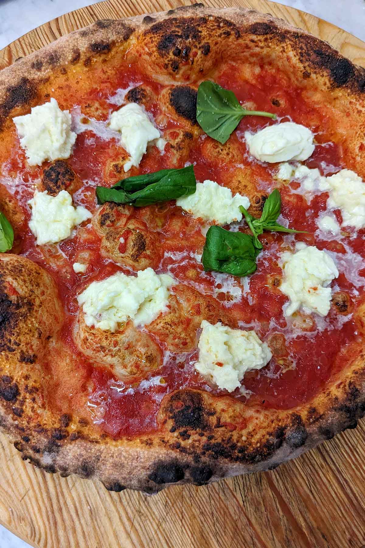 pizza topped with buffalo mozzarella and basil leaves.