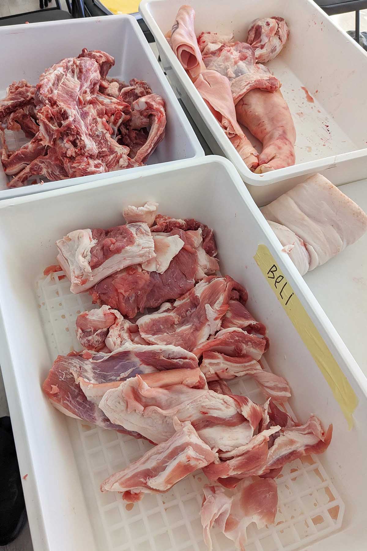 various cuts of pork separated in white boxes.