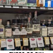 liquor store shelf with bottles of gin with text overlay.