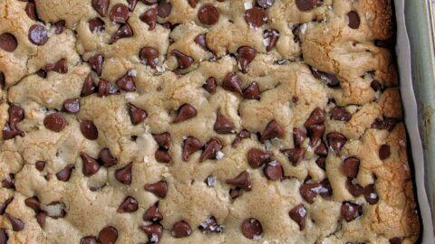 https://homebodyeats.com/wp-content/uploads/2023/07/chocolate-chip-cookie-bars-9x13-1-480x270.jpg