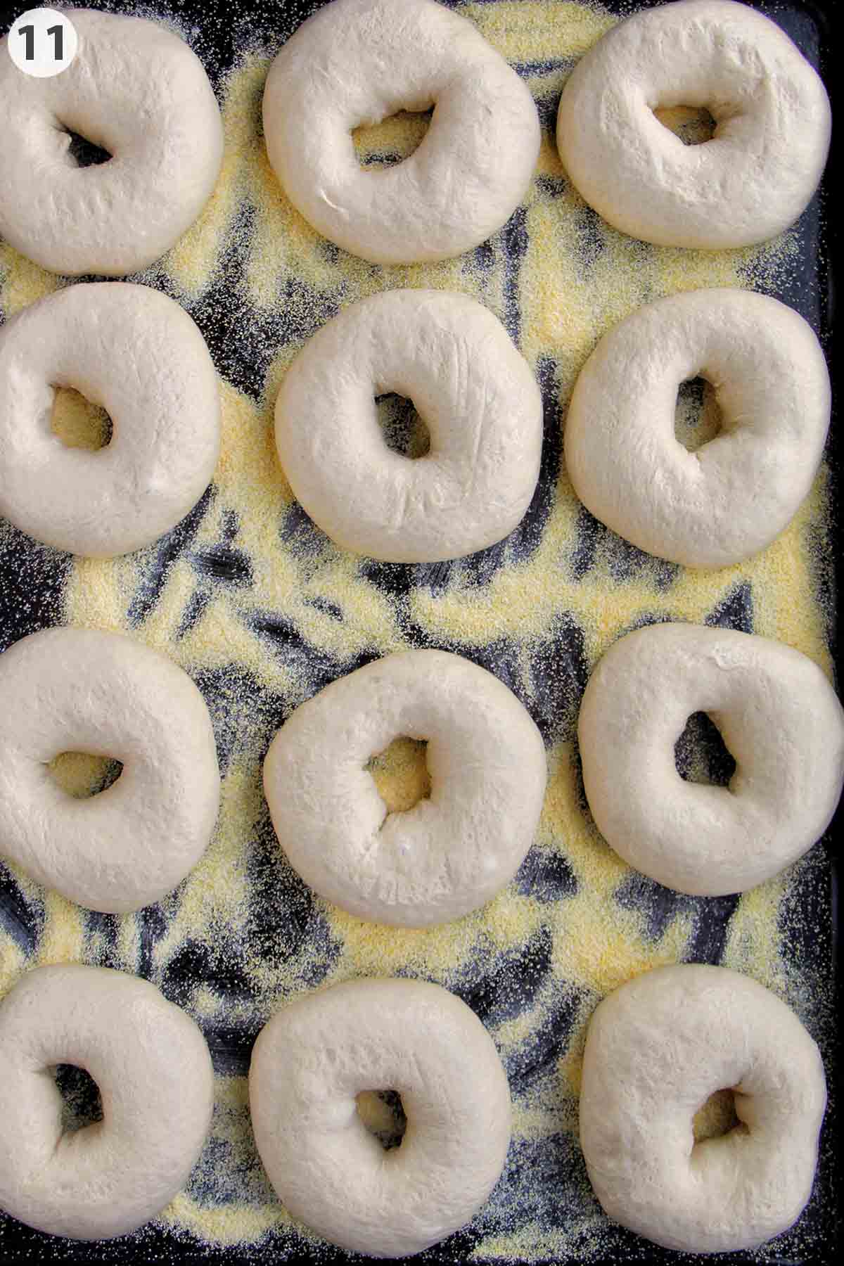 numbered photo showing proofed bagels on a corn meal dusted baking sheet.