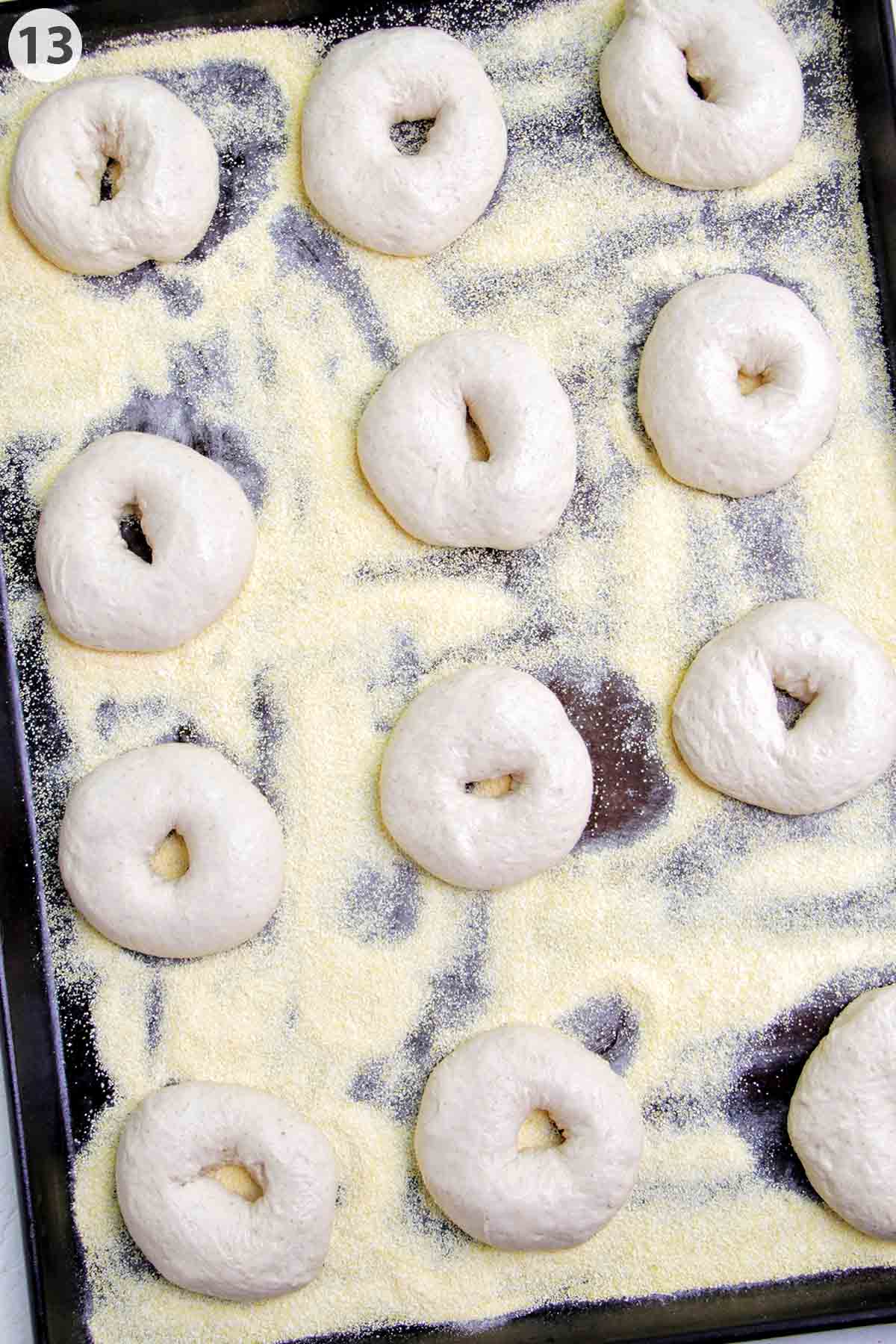 numbered photo showing proofed bagels on a sheet pan lined with corn meal.