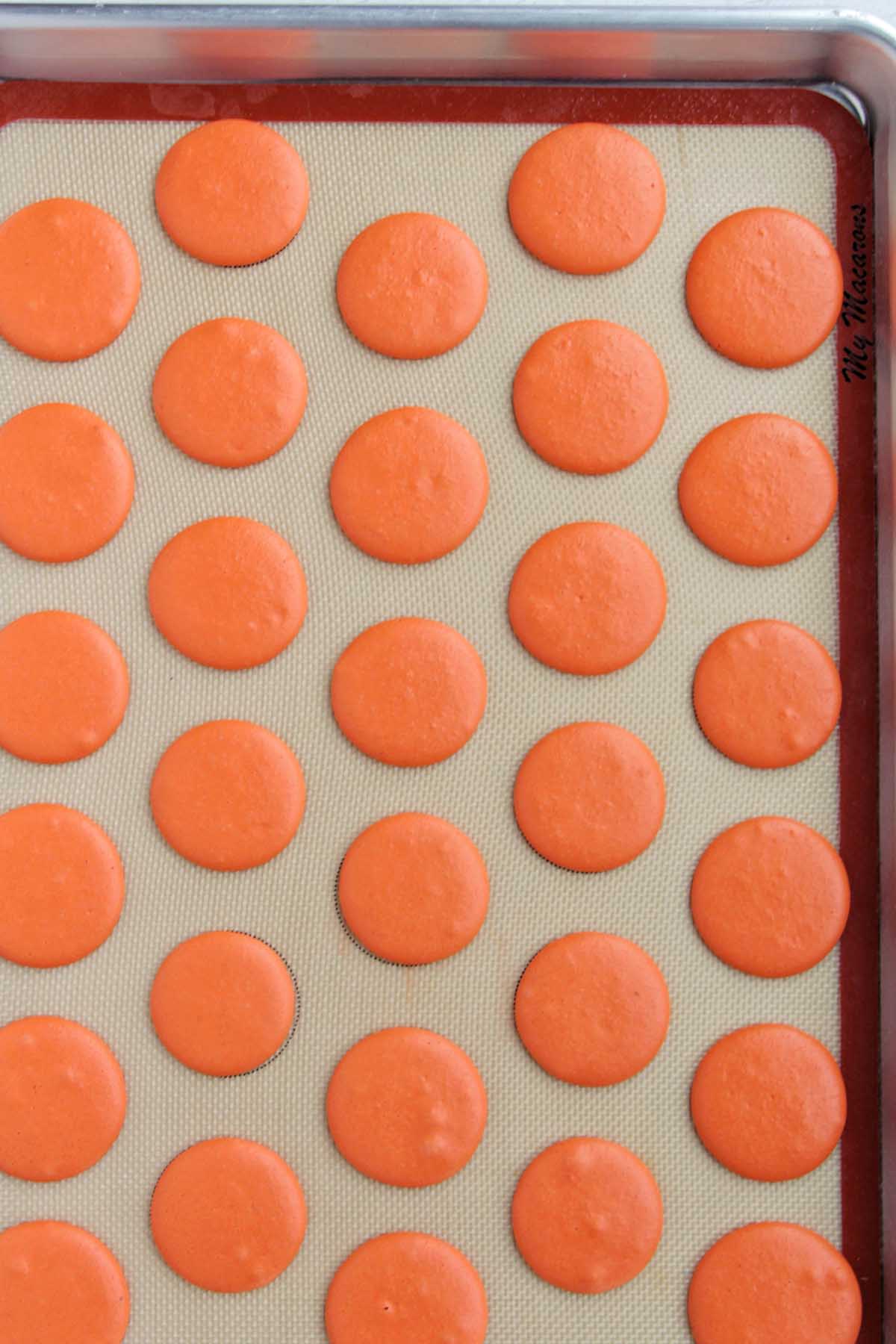 dried macaron shells on a sheet tray.