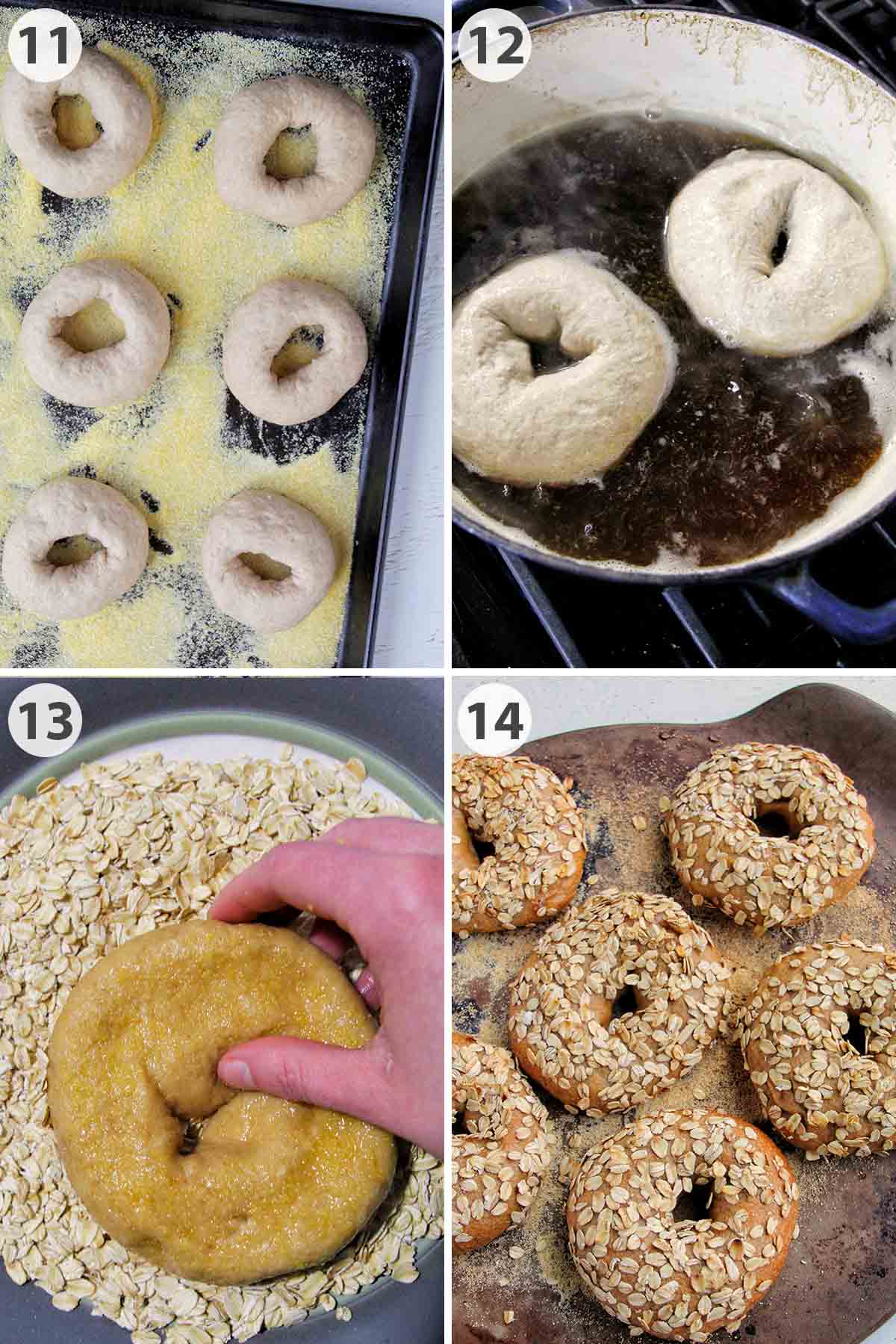 four numbered photos showing how to proof, boil, and bake oatmeal bagels.