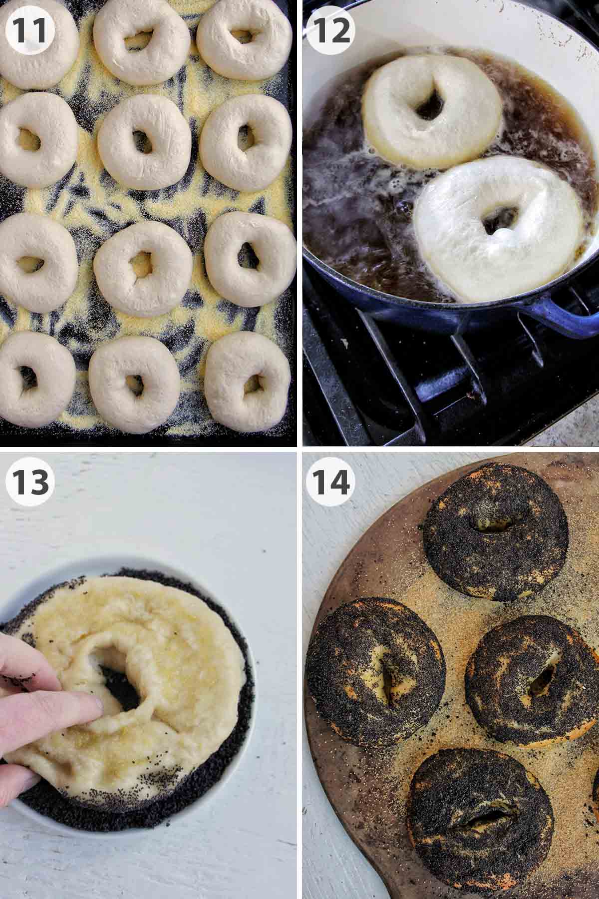 four numbered photos showing how to proof, boil, and bake poppy seed bagels.