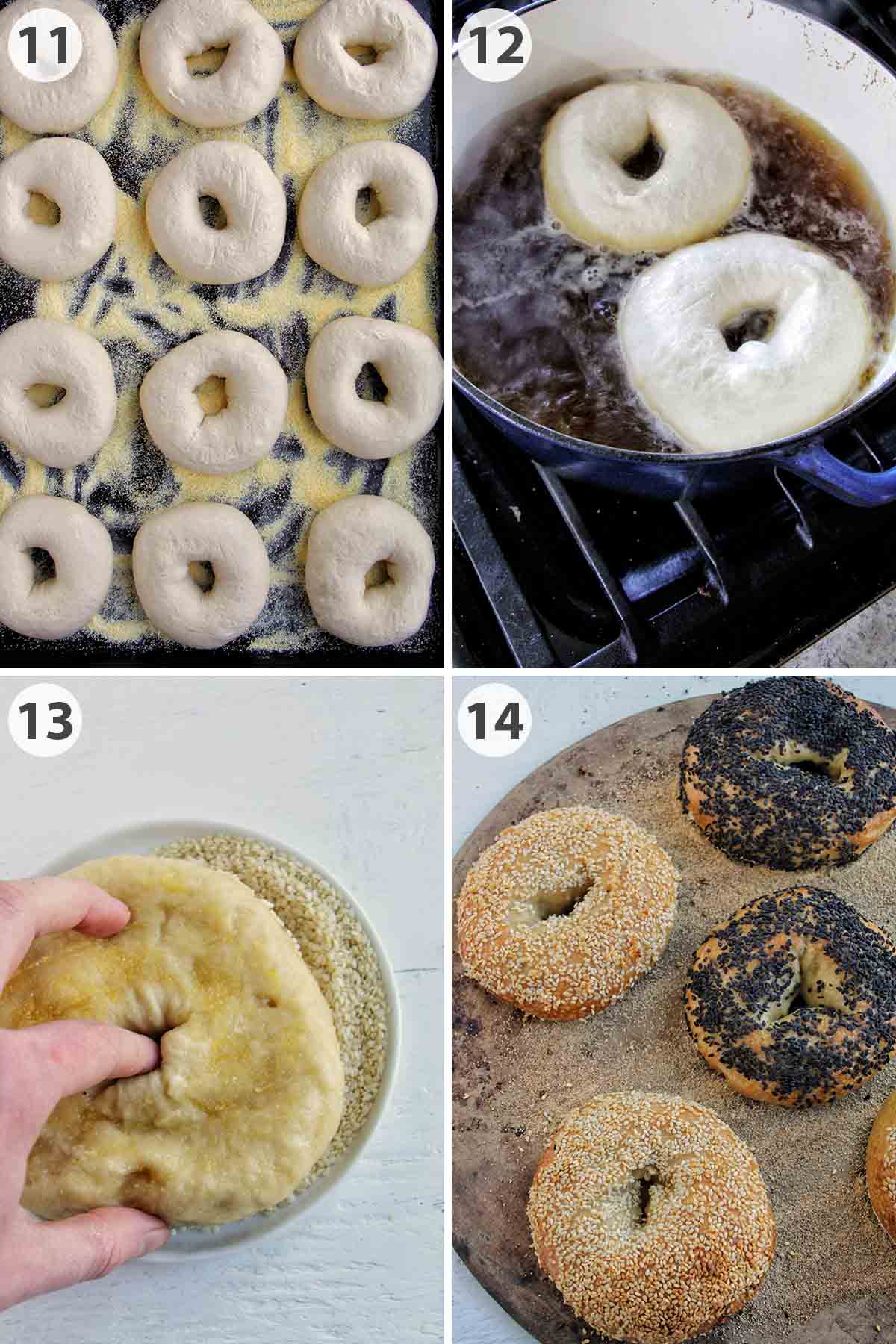 four numbered photos showing how to proof, boil, and bake sesame seed bagels.
