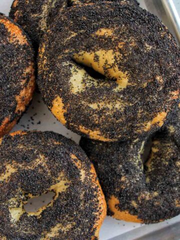 poppy seed bagels on sheet tray.