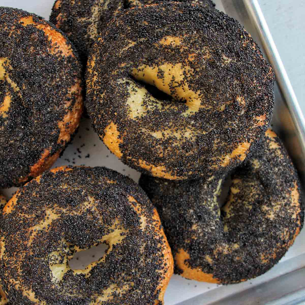 poppy seed bagels on sheet tray.