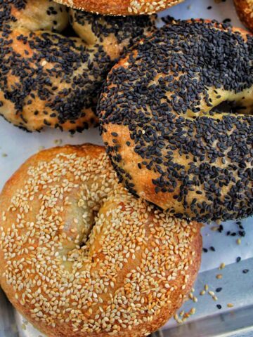 sesame seed bagels on sheet tray.