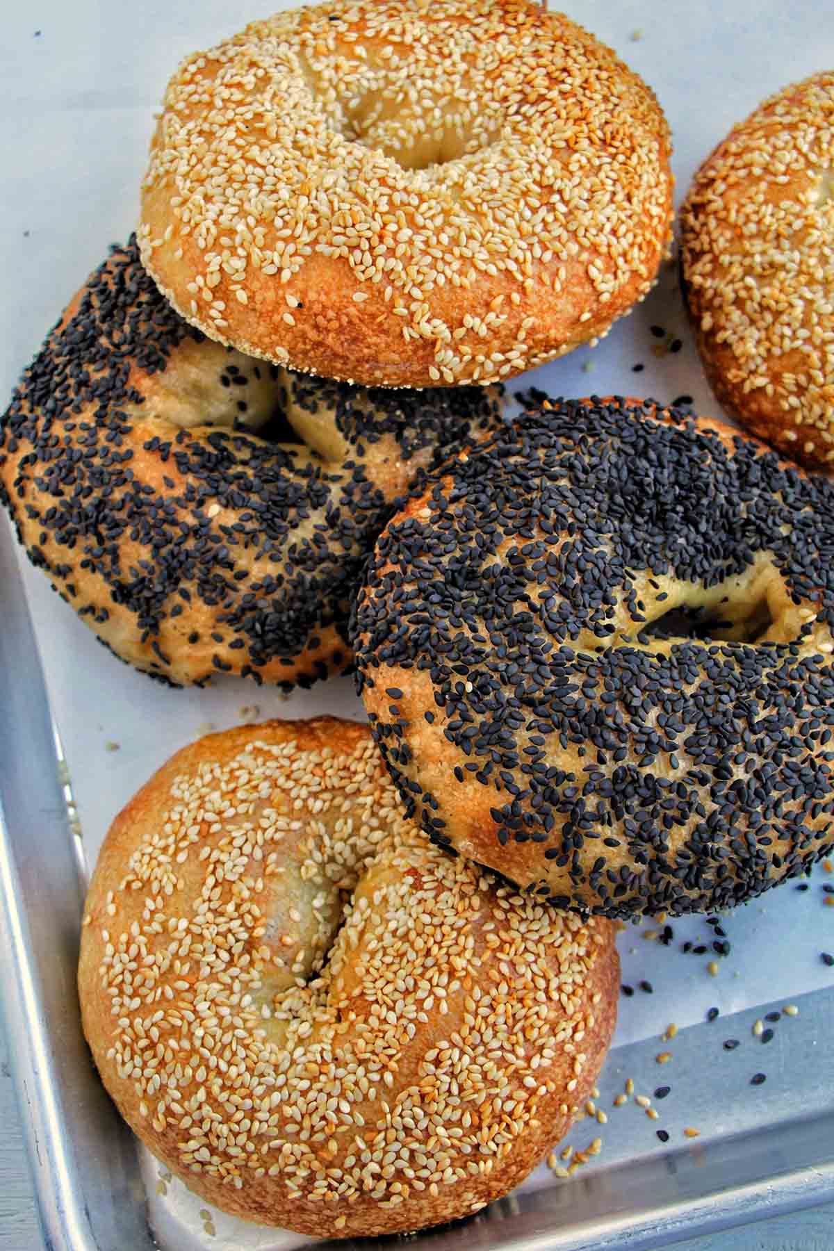sesame seed bagels on sheet tray.
