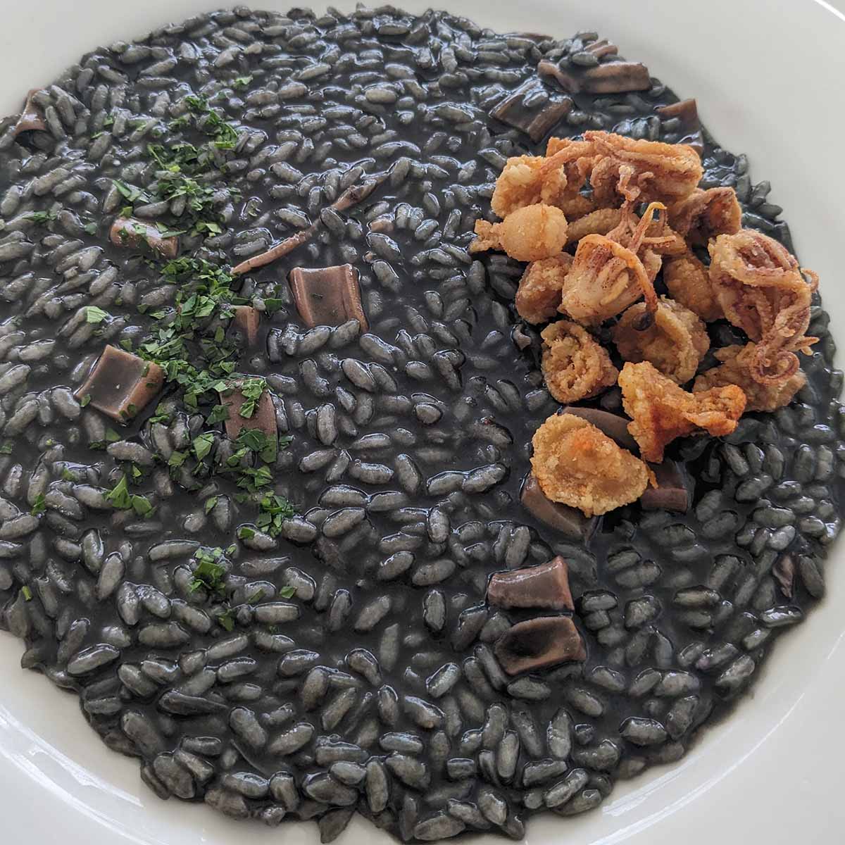 black risotto with squid.