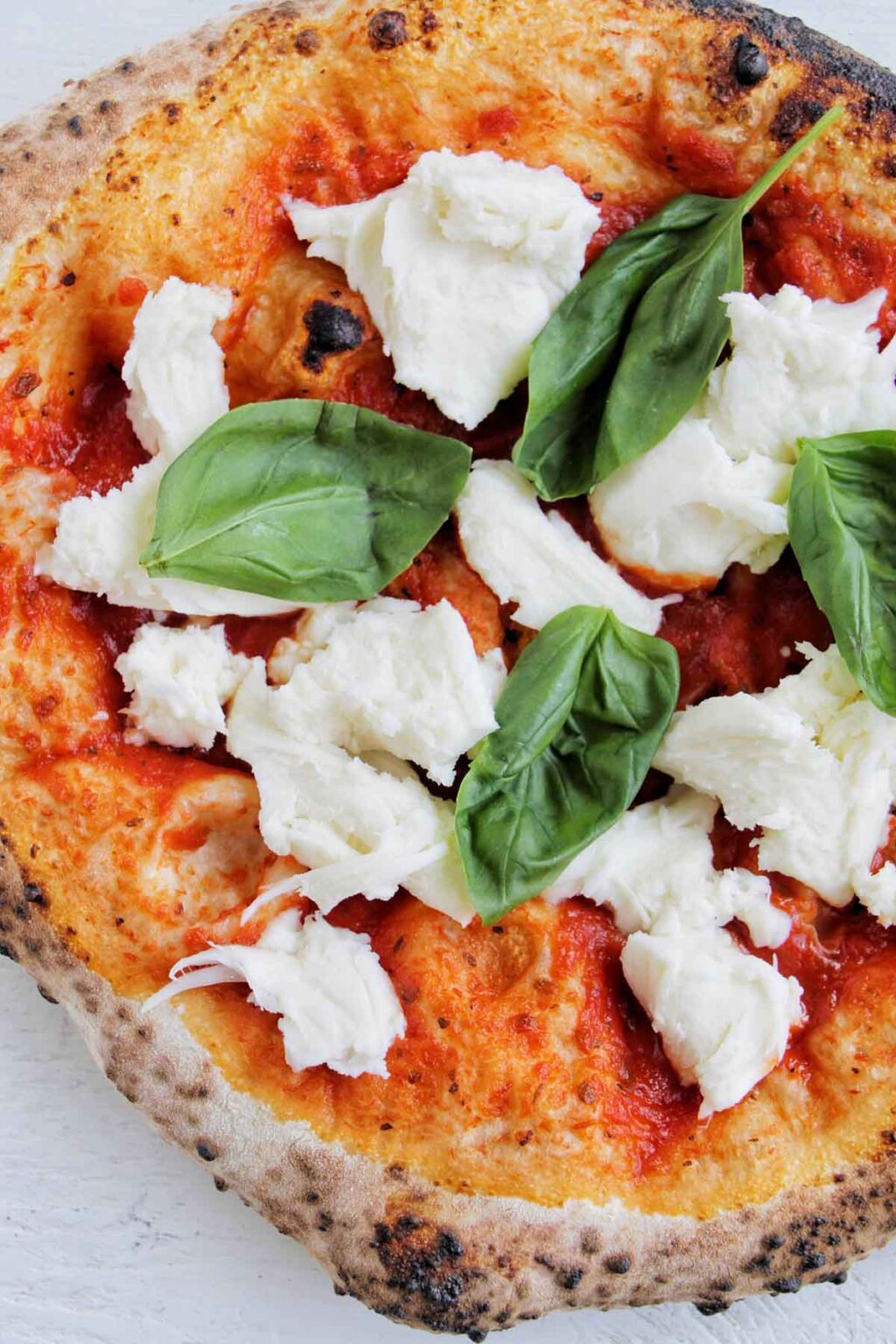 All Purpose Flour Pizza Dough Homebody Eats