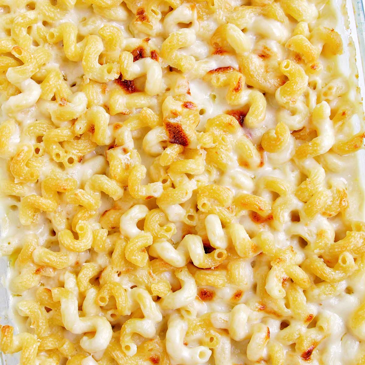 baked cavatappi white cheddar macaroni and cheese.