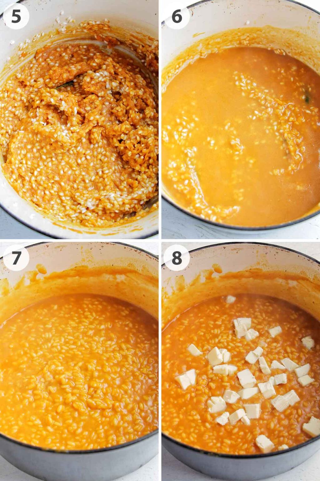 Pumpkin Sage Italian Risotto Homebody Eats