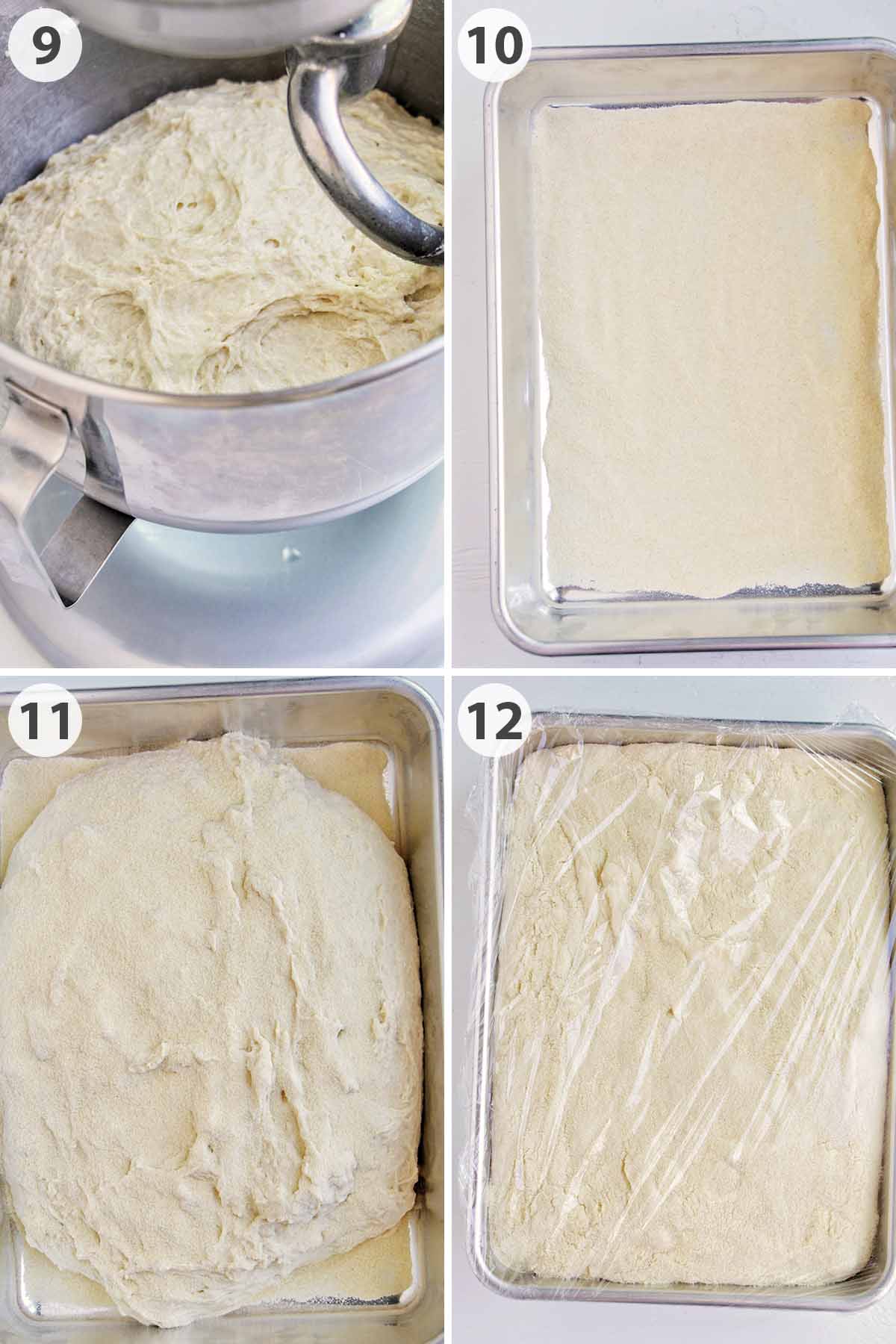 four numbered photos showing how to mix and rise ciabatta dough.