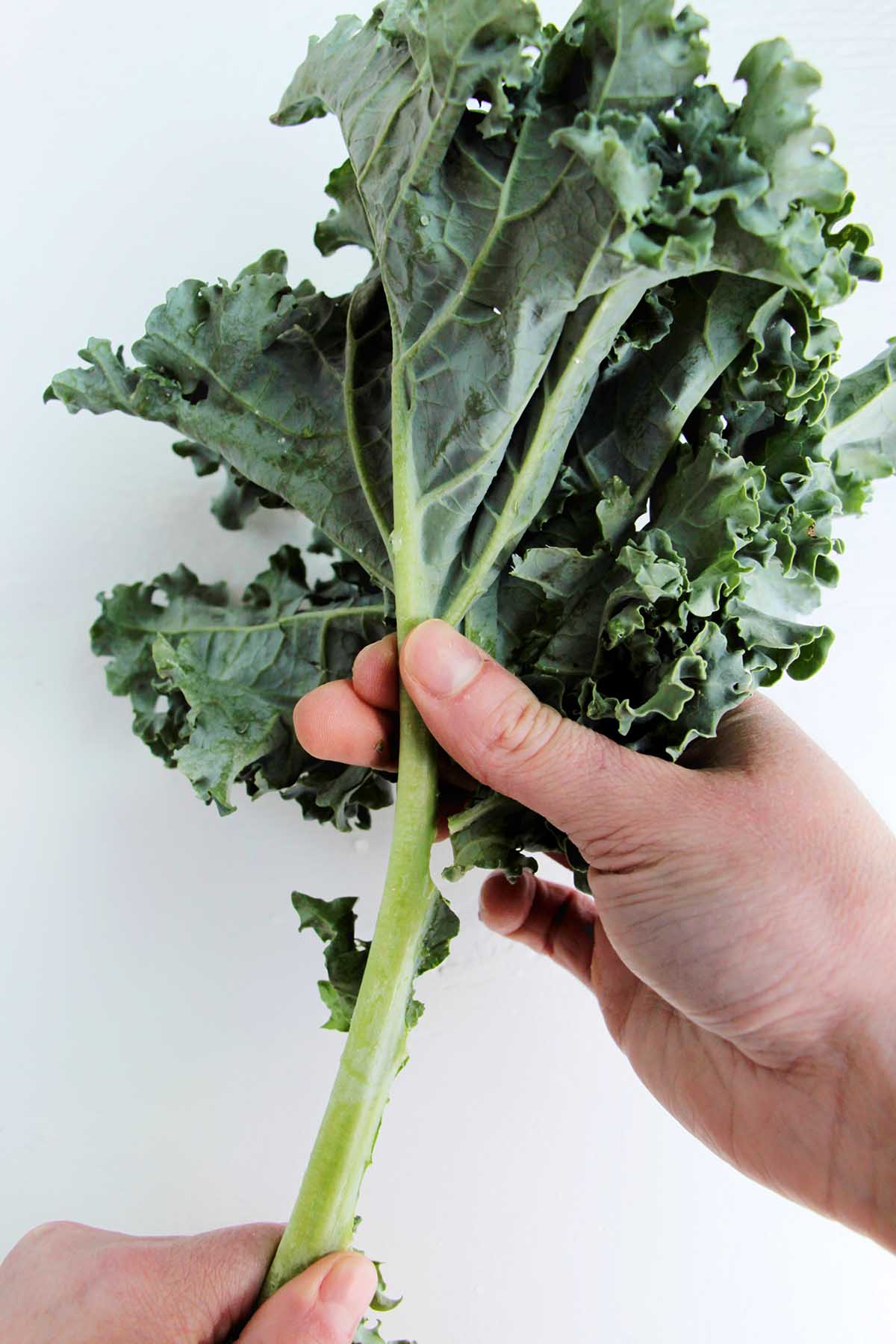 destemming kale.