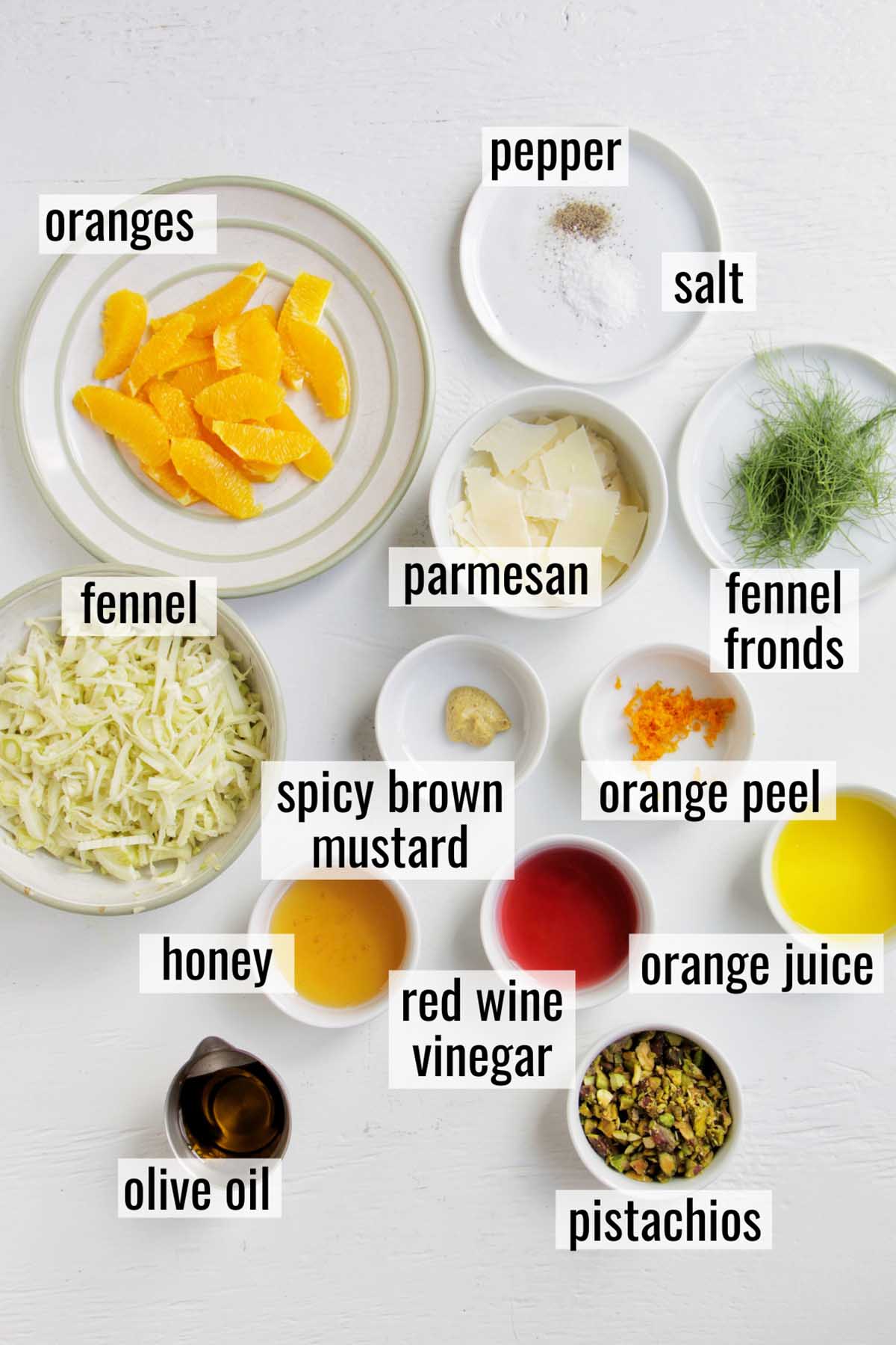 fennel orange salad ingredients with labels.