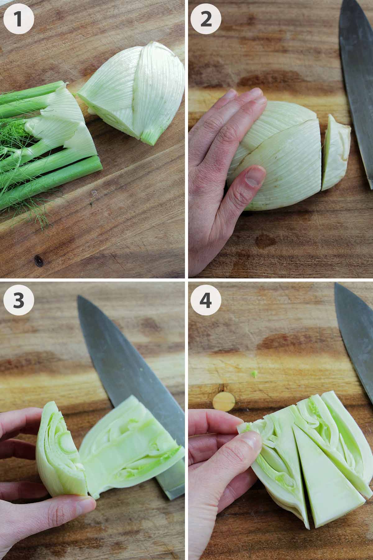 four numbered photos showing how to cut fennel.