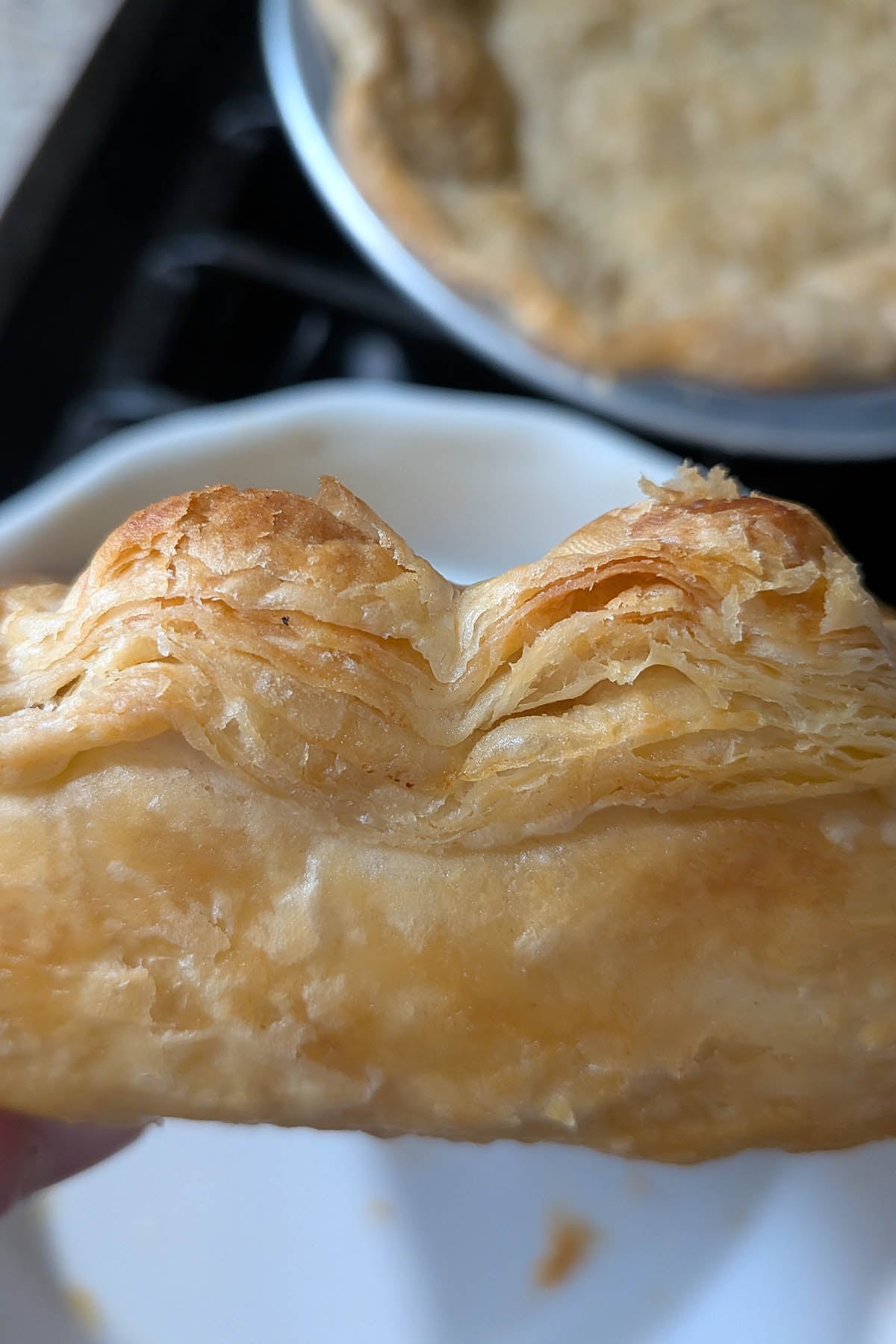 flakey all butter pie crust.
